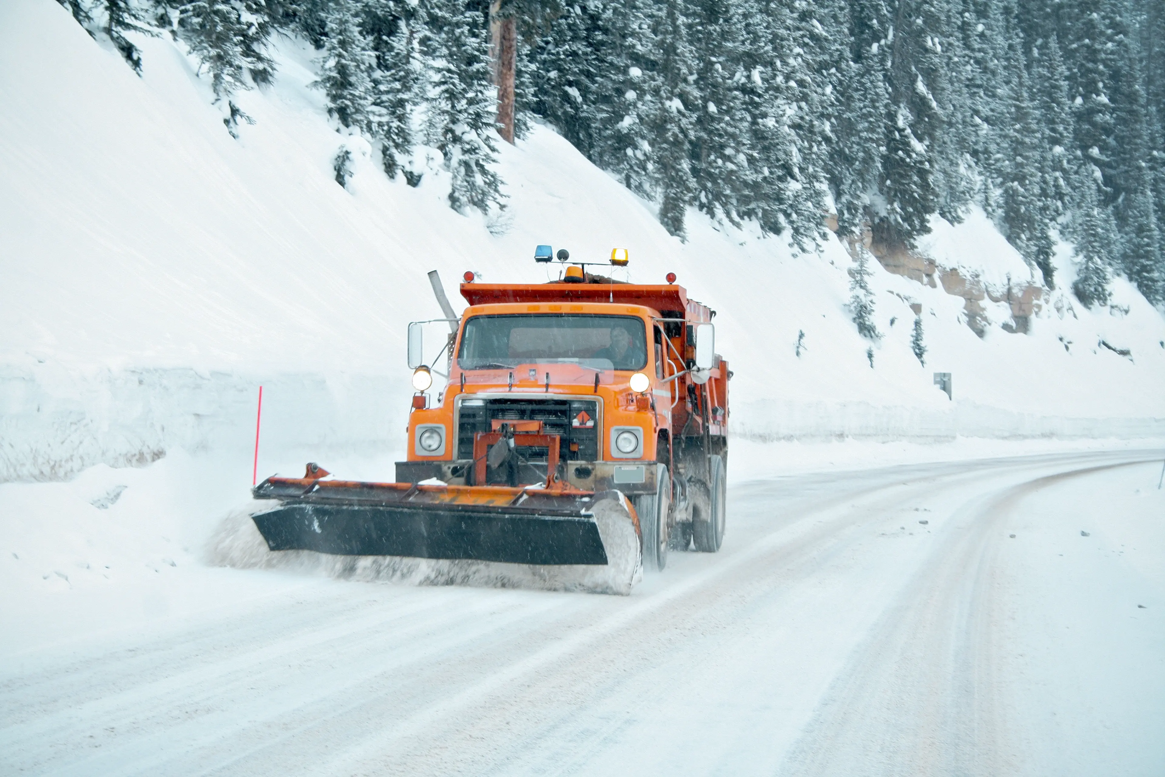 An orange snowplow clears a snow-covered mountain road, surrounded by dense evergreen trees and snowbanks.