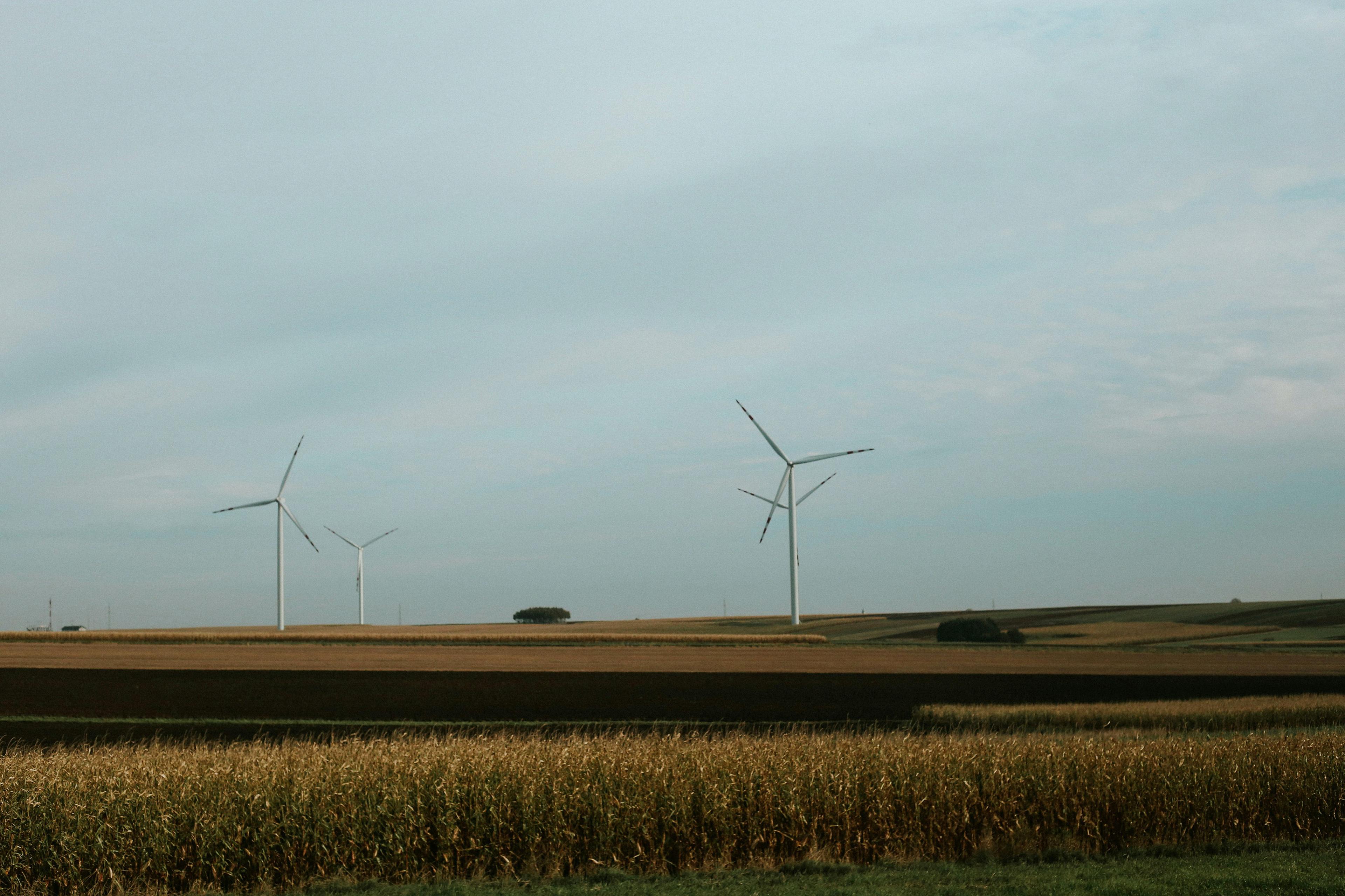 Wind turbines in a rural landscape with fields of crops under a cloudy sky.