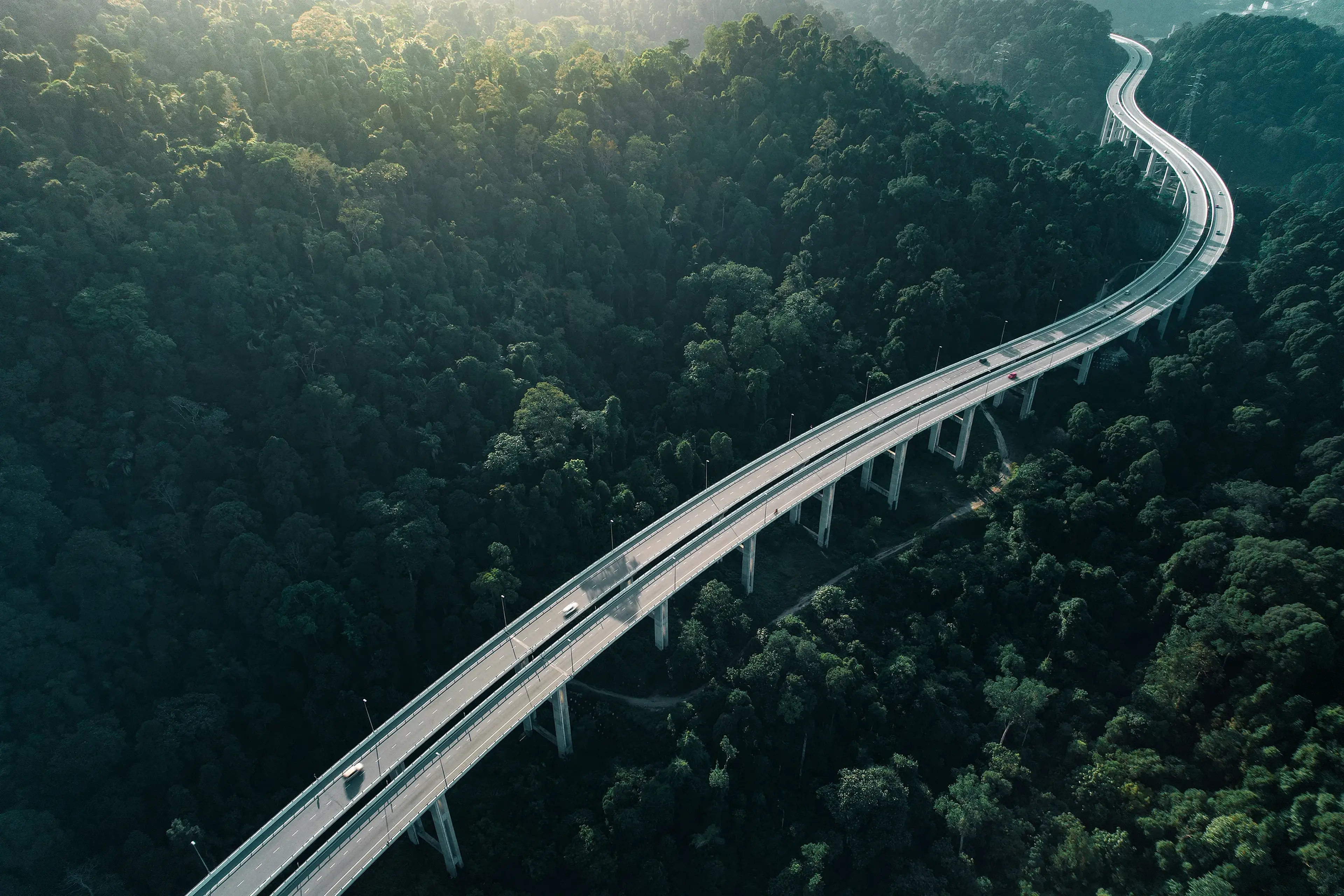 Elevated highway winding through dense green forest canopy in daylight, with scattered vehicles traveling along the road.