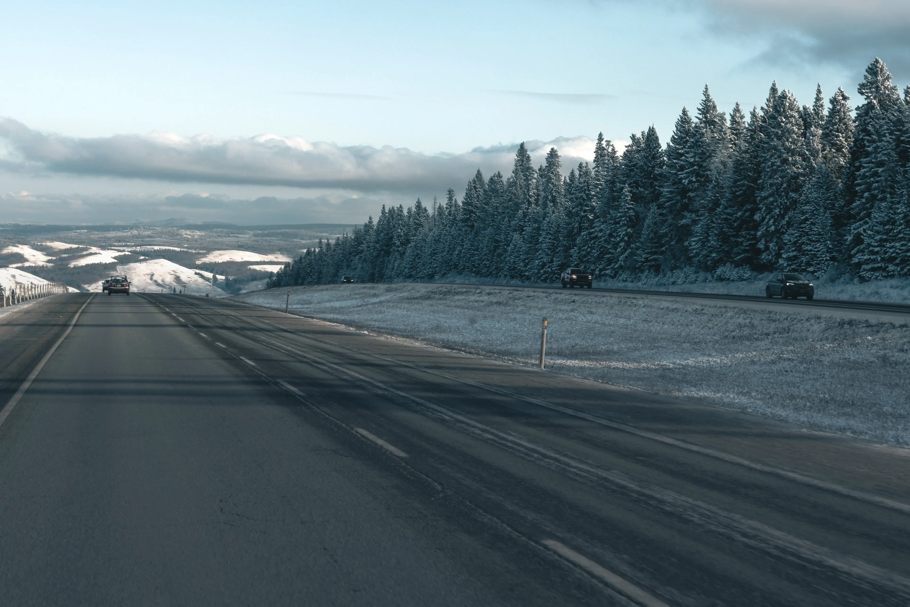 Snow-covered road flanked by frosty pine trees under a cloudy sky, with cars in the distance.