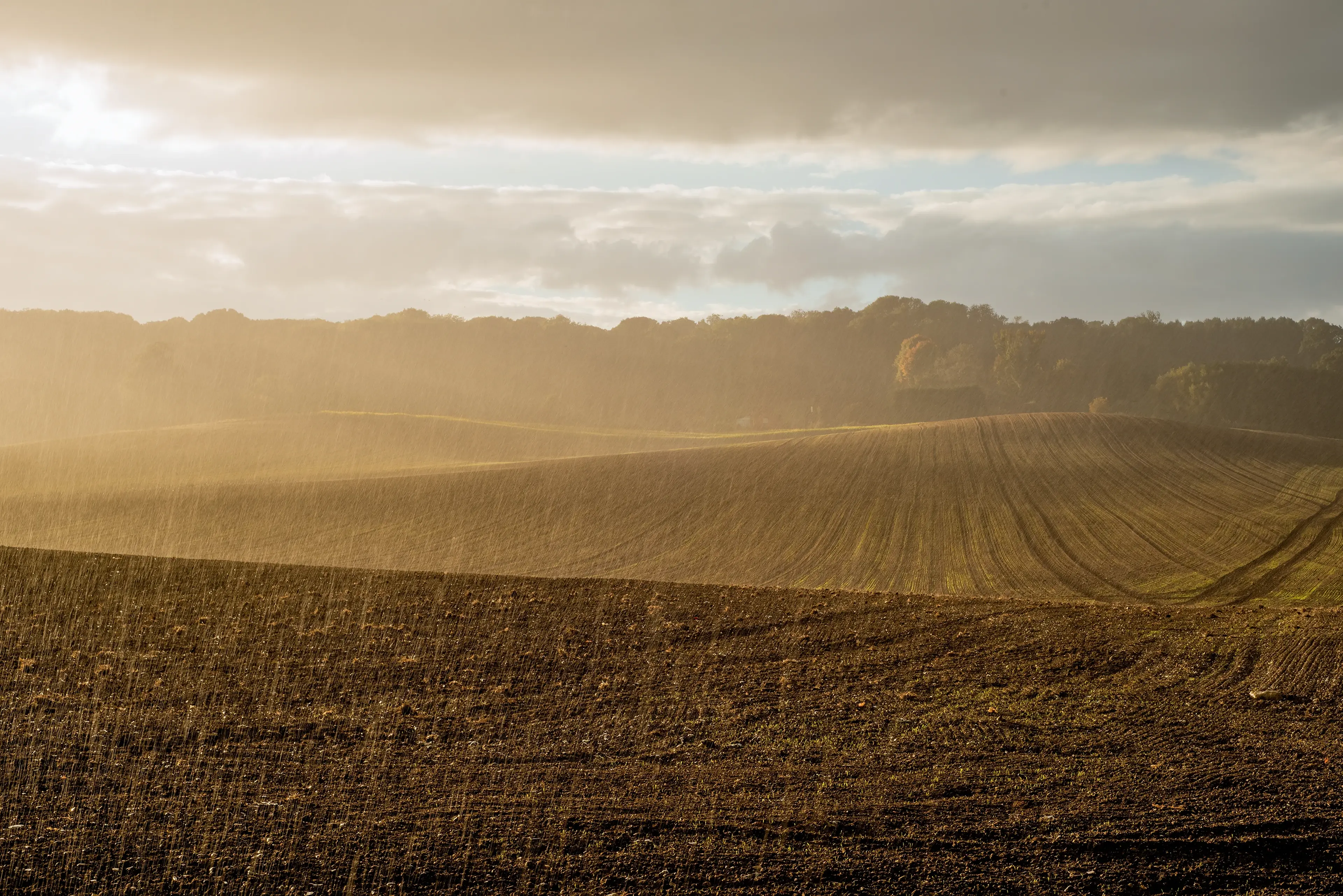 A gently sloping plowed field under soft sunlight and light rain, with a backdrop of trees and a cloudy sky.