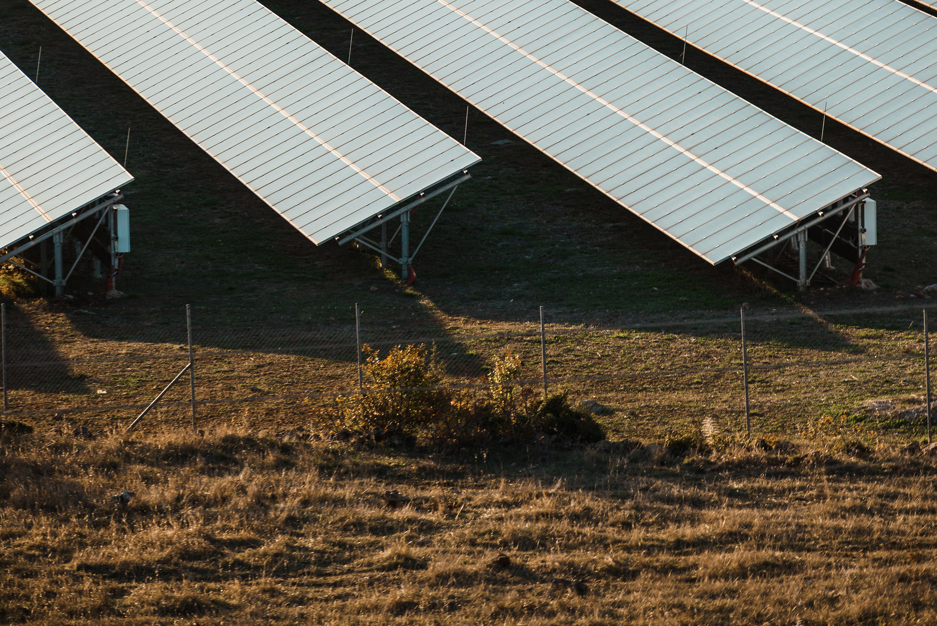 Rows of solar panels on a grassy field, casting long shadows. A fence and dry grass are visible in the foreground.