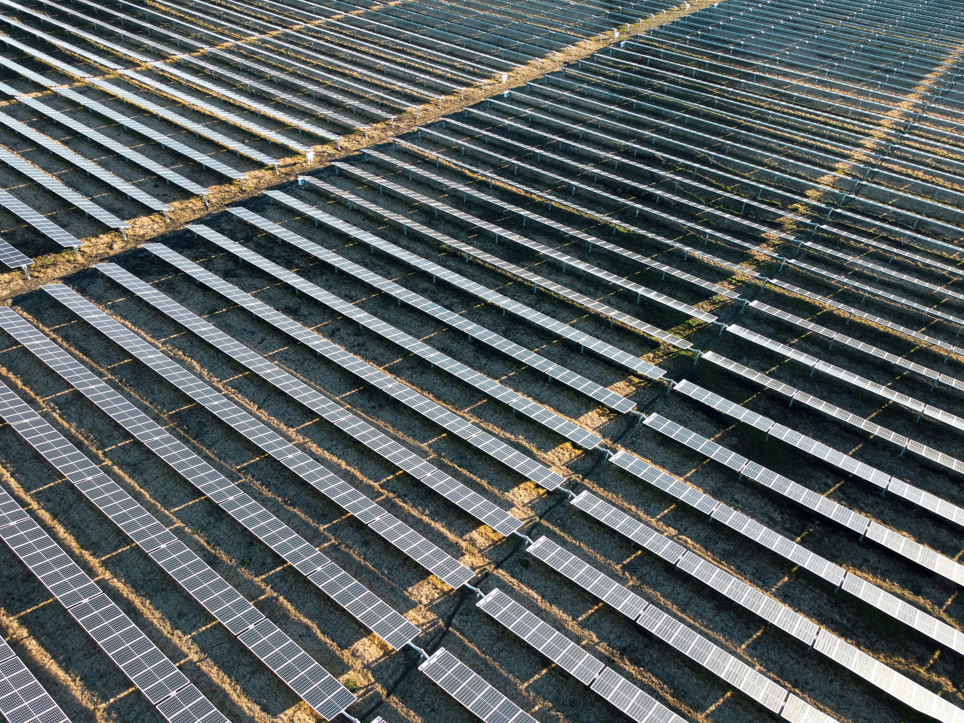 Aerial view of a large solar panel farm with numerous parallel rows of panels on a grassy field, capturing sunlight for energy.