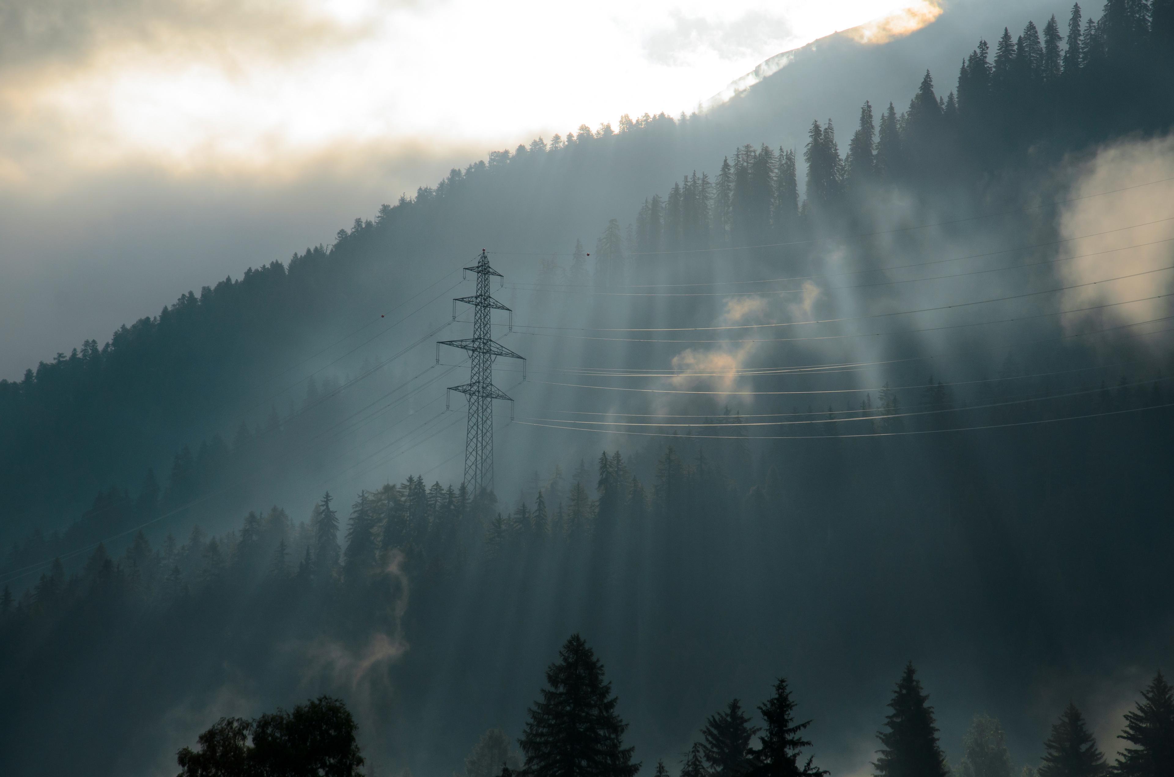 Sunlight streams through misty mountain trees with a silhouette of a power line tower in the foreground.
