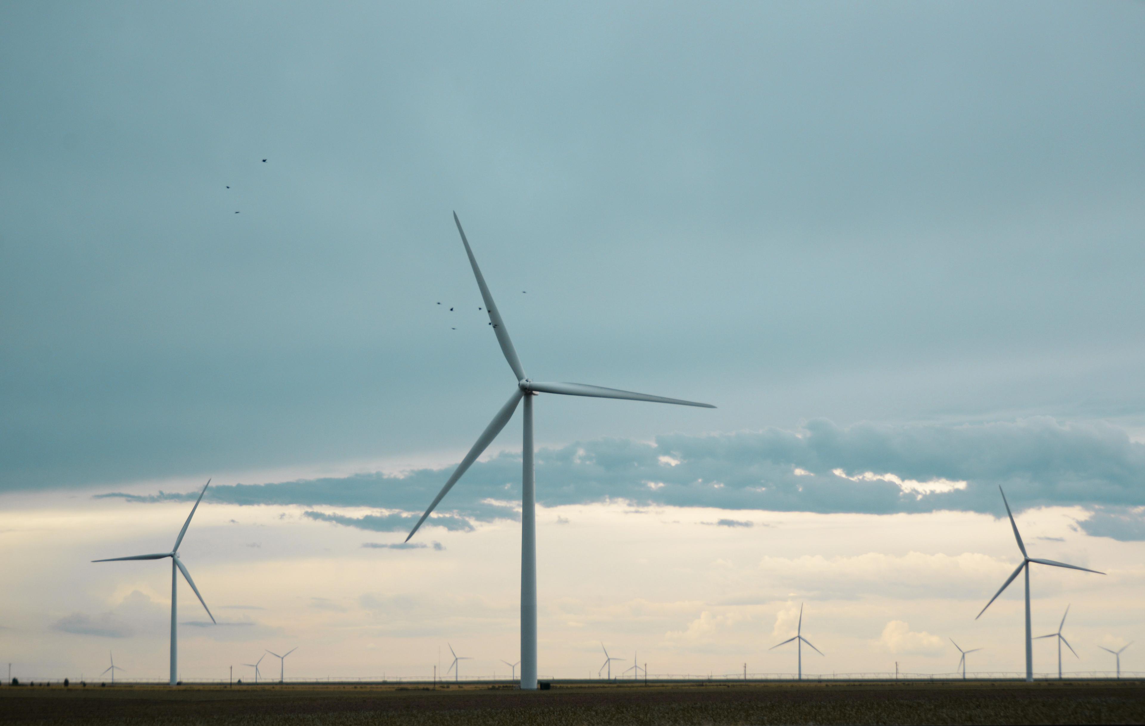 Wind turbines under a cloudy sky with birds flying near the blades.