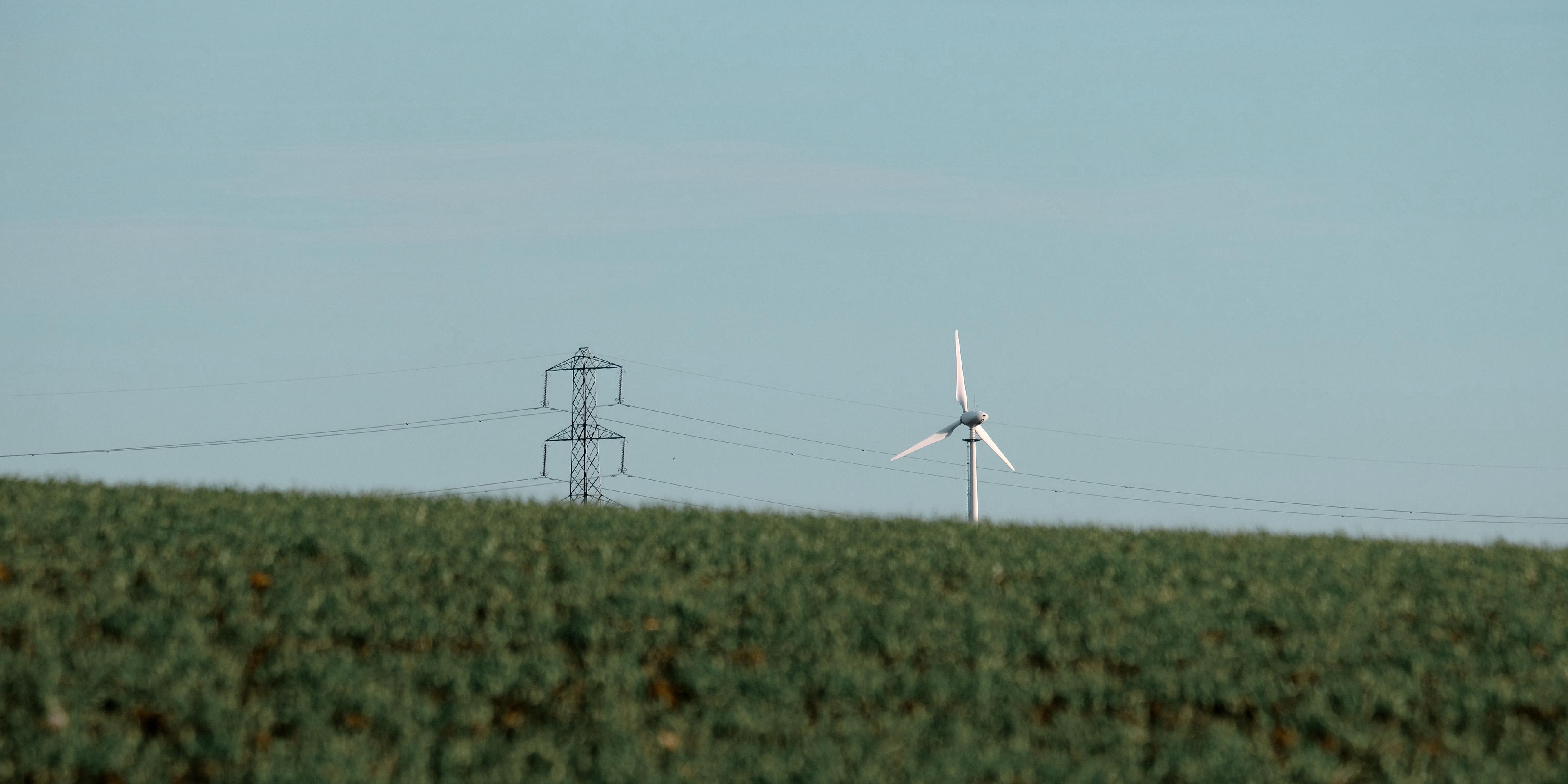 Wind turbine and electrical tower on horizon with blue sky above, seen over a field of green crops.