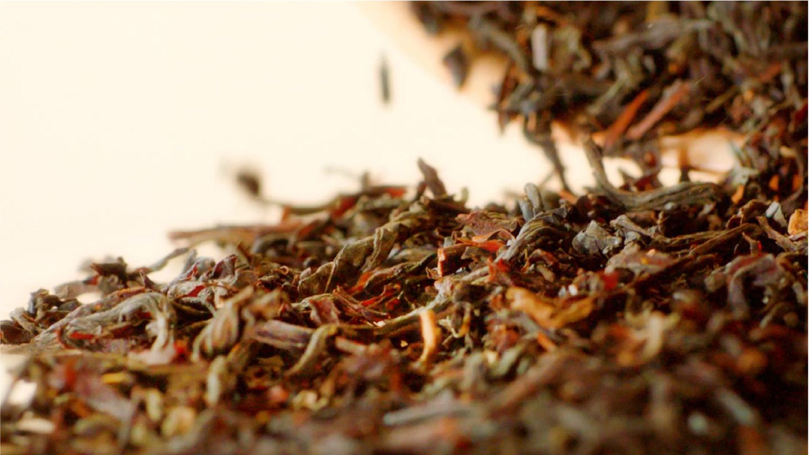 Dried Tea Leaves