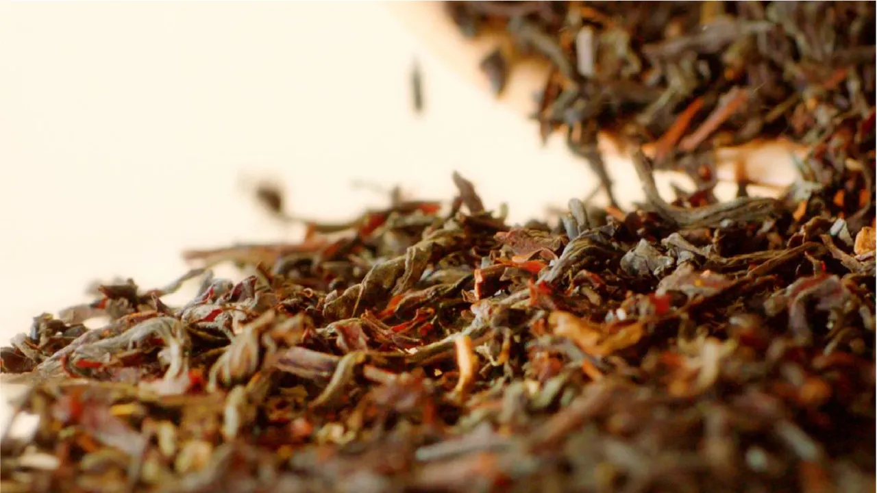 Dried Tea Leaves
