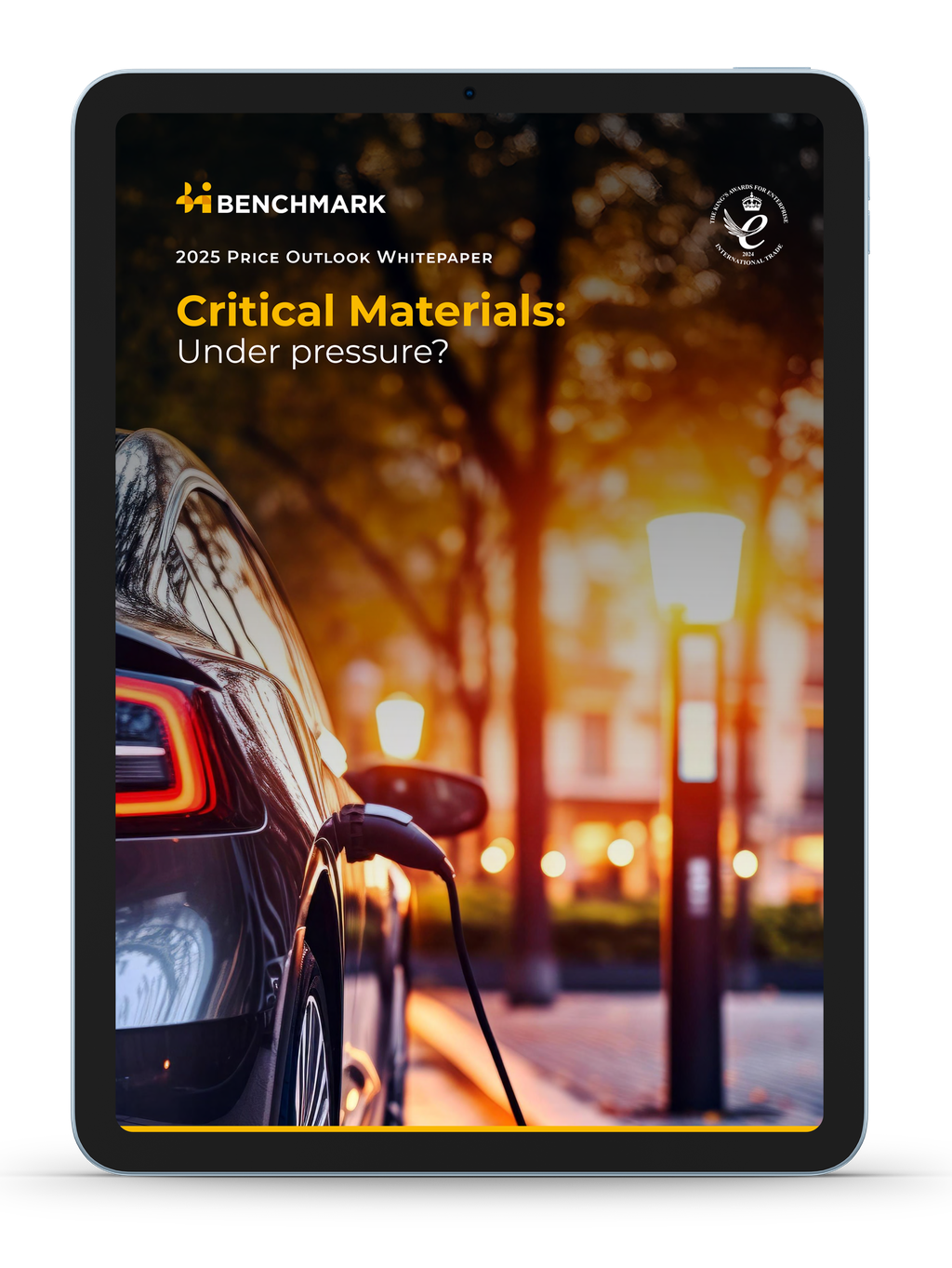 2025 Price Outlook Whitepaper - Critical Materials: Under Pressure?