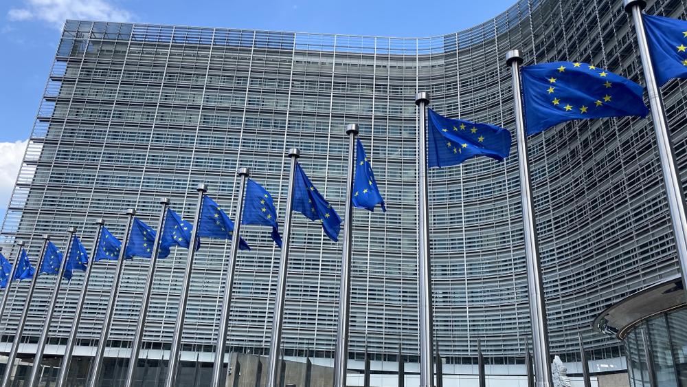 EU flags in front of a building in Brussels