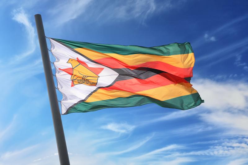 Zimbabwe suspends lithium concentrate exports