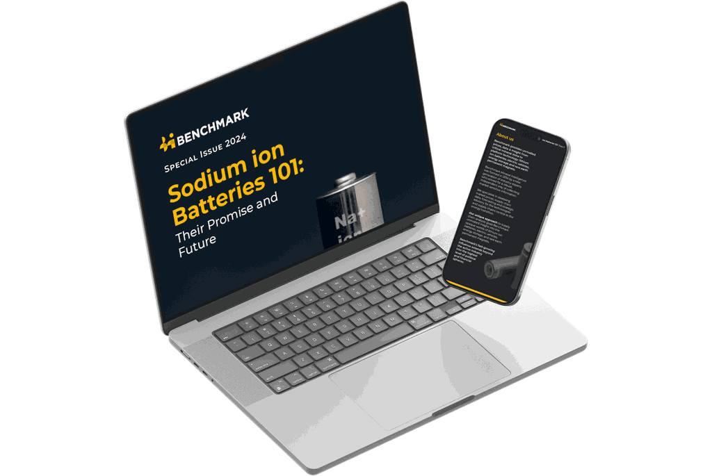 Sodium ion Batteries 101: Their Promise and Future