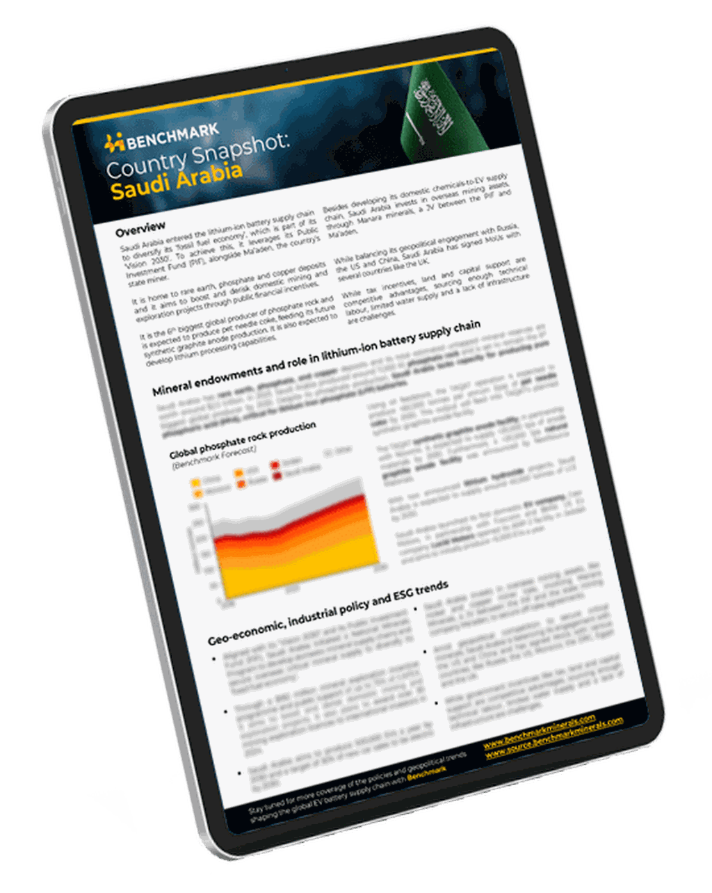 Benchmark Country Factsheet: Saudi Arabia
