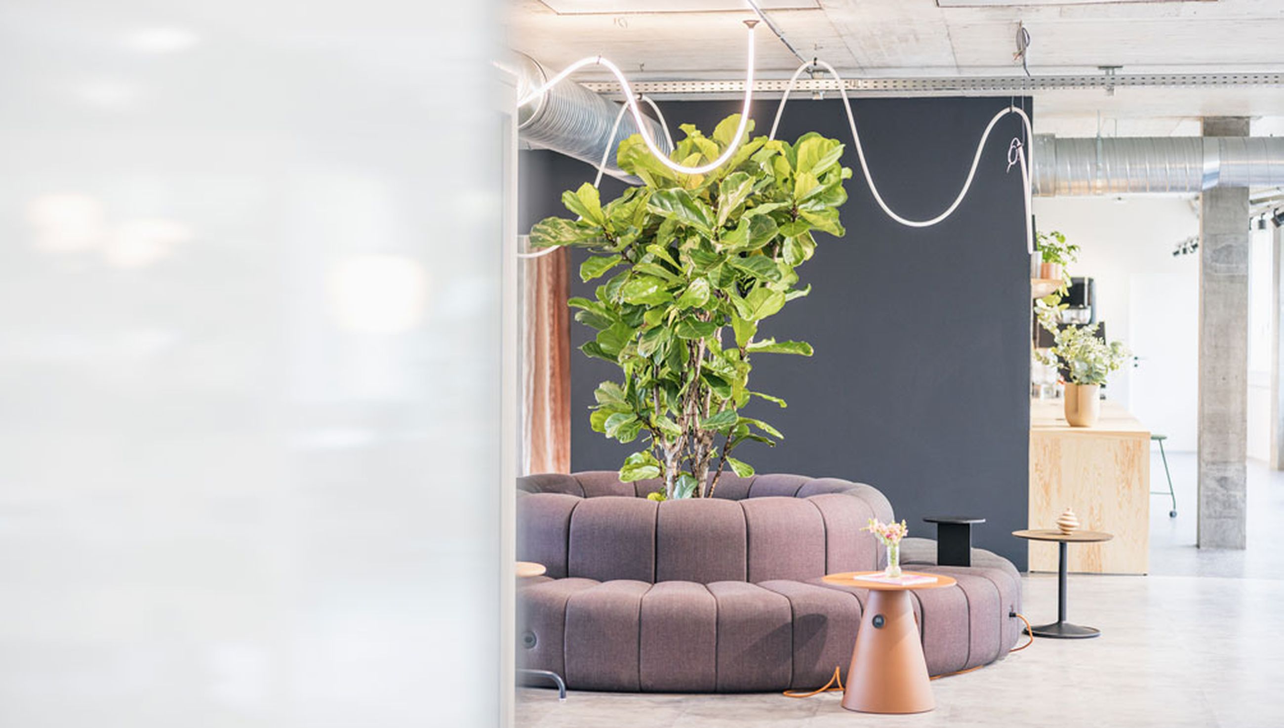 Sitzgruppe mit Pflanze in der Mitte.