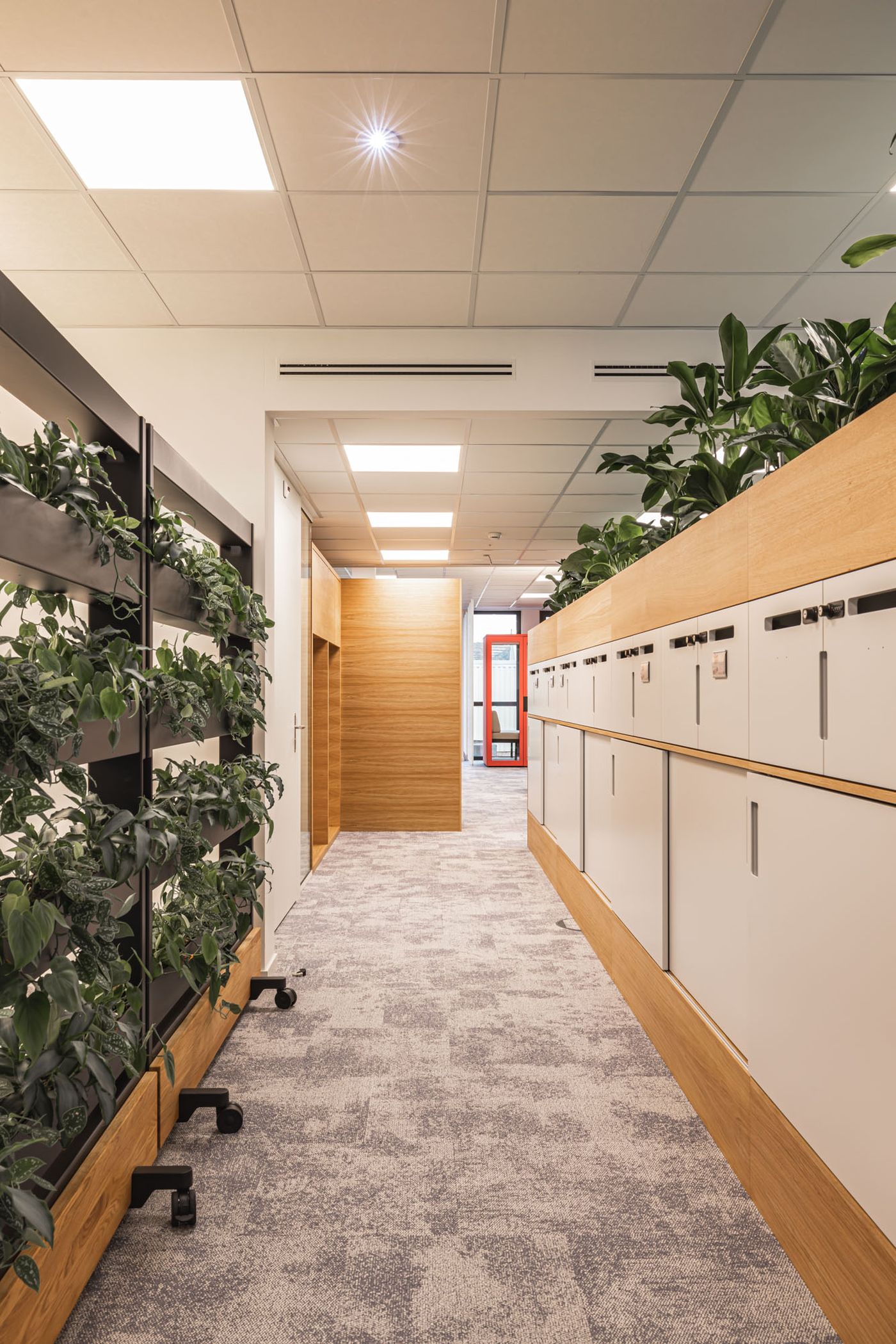 Lichtdurchfluteter Flur mit modularen Pflanzenpaneelen.