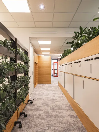 Lichtdurchfluteter Flur mit modularen Pflanzenpaneelen.