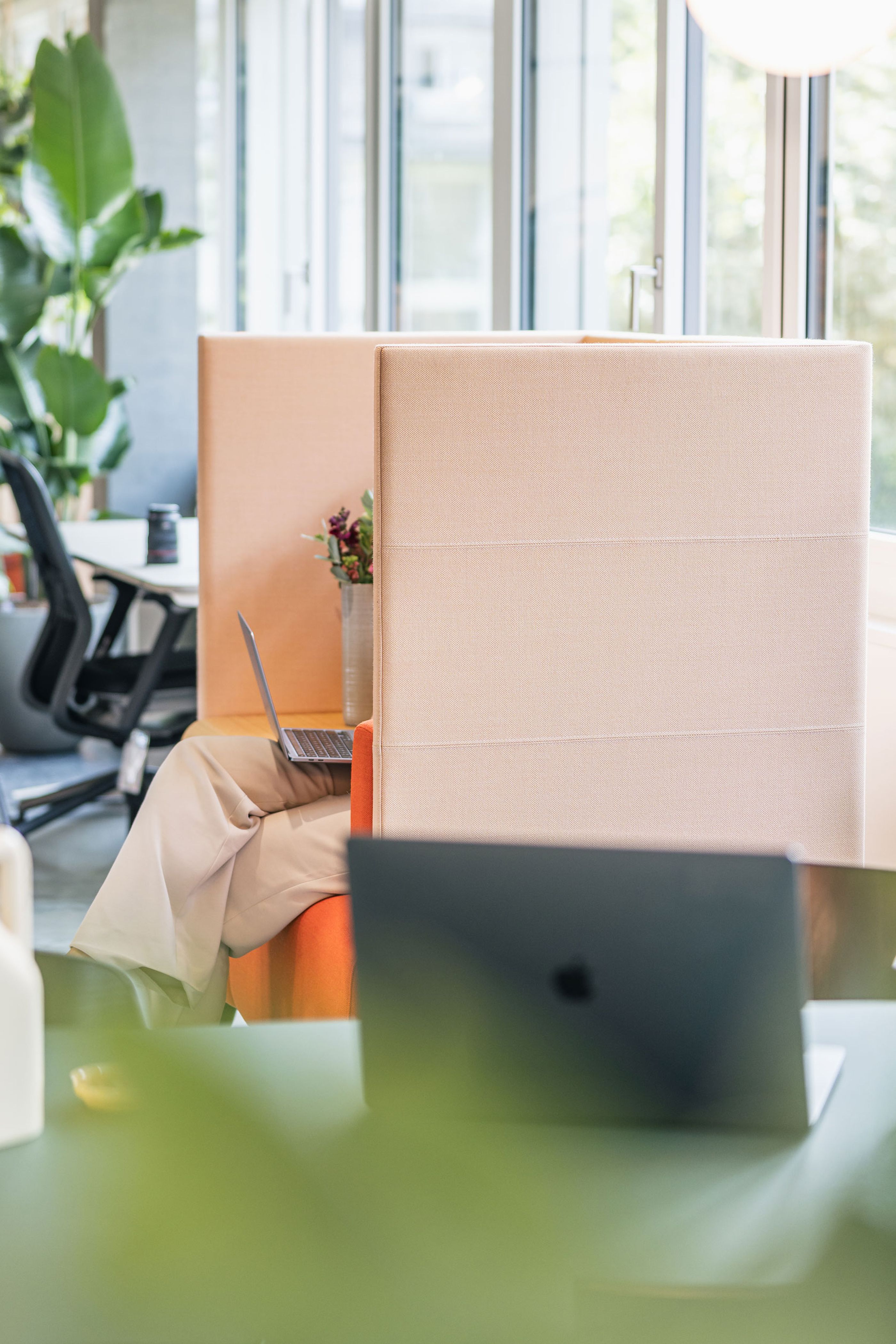 Moderner Fokusarbeitsplatz mit hohen Akustik-Panels, Laptop und natürlichen Pflanzen im Hintergrund.