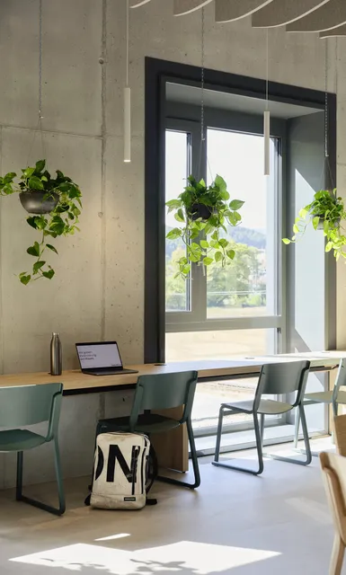 Cafeteria mit Stühlen entlang der Fensterfront.