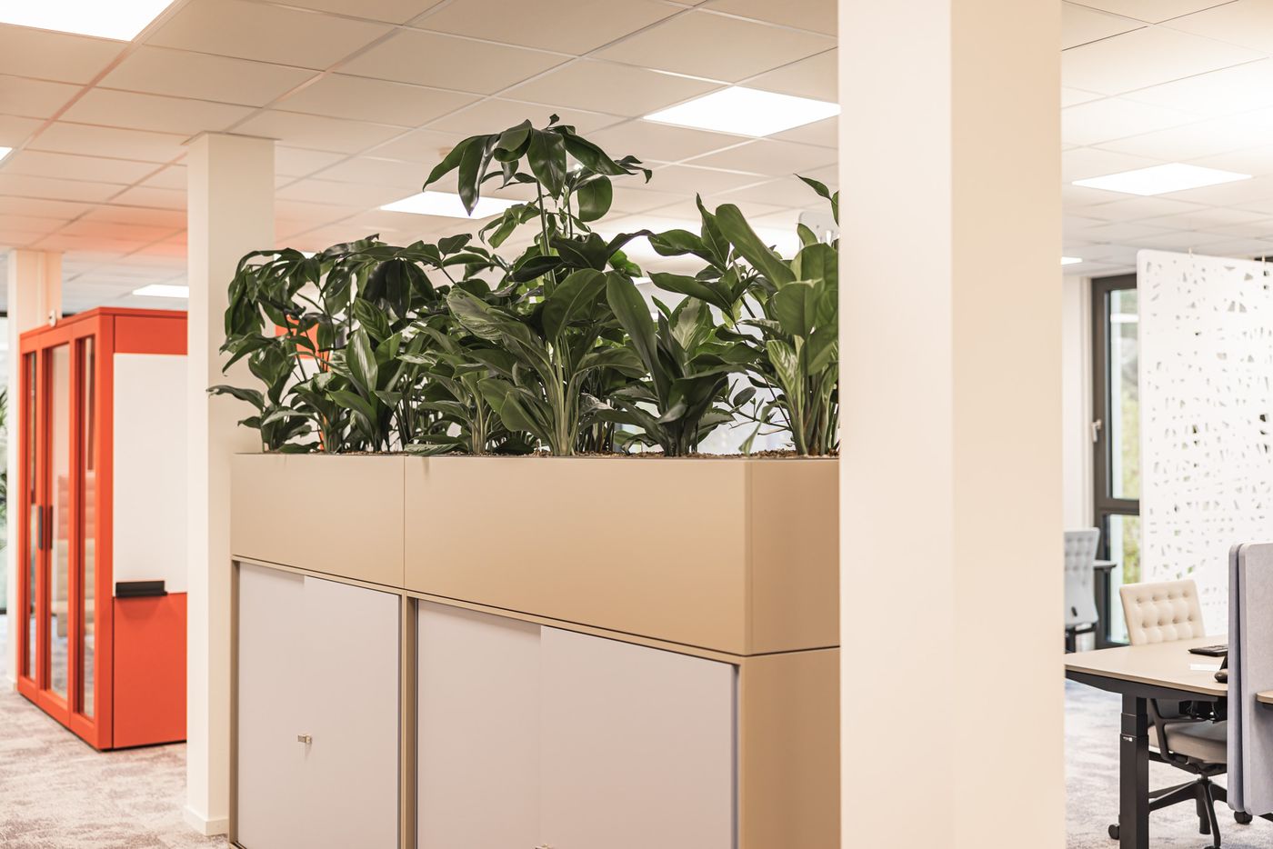 Große Pflanztröge auf Sideboard als grüner Raumtrenner. Warm, wohnlich, strukturiert.