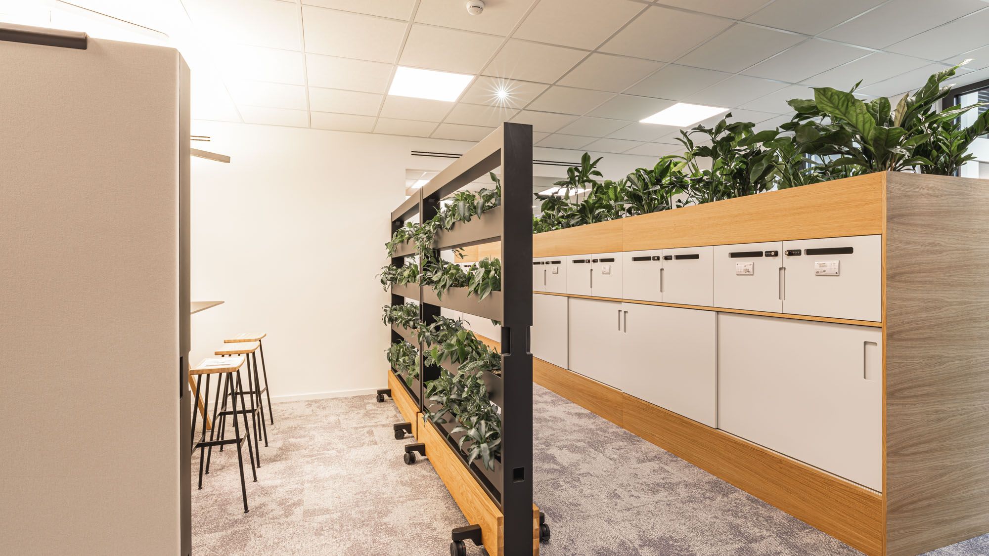 Stauraum und Begrünung als Zonierungselement.