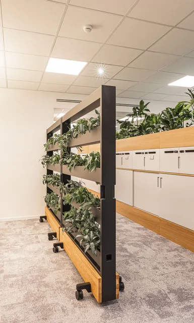 Stauraum und Begrünung als Zonierungselement.