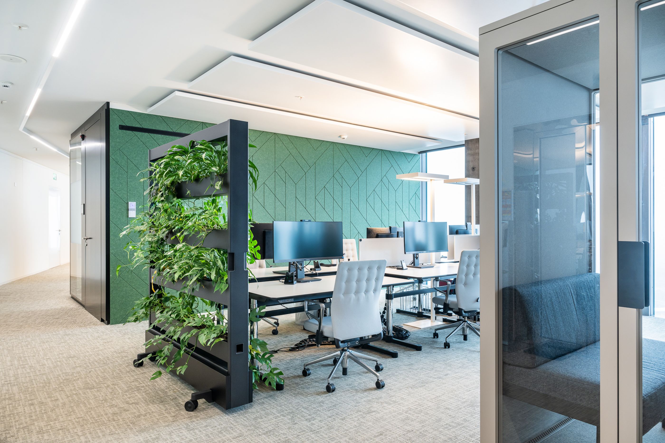 Einzelarbeitsplatz mit hohen türkisfarbenen Akustikwänden, modernem Bürostuhl und großem Monitor in grünem Bürobereich.