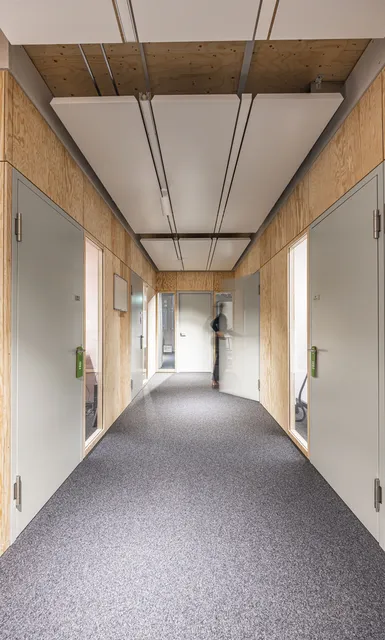 Heller Büroflur mit Holzwänden, Türen und Akustikdecken.