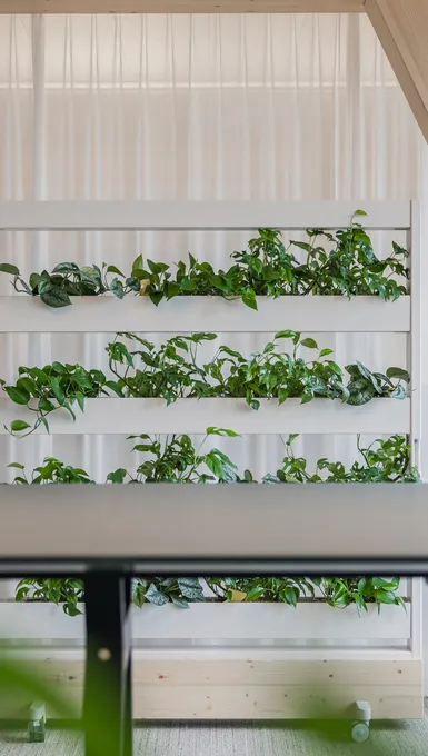 Sitzungszimmer mit Pfanzenwand auf Rollen