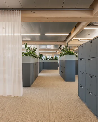 Locker und Stauraum Vorhang