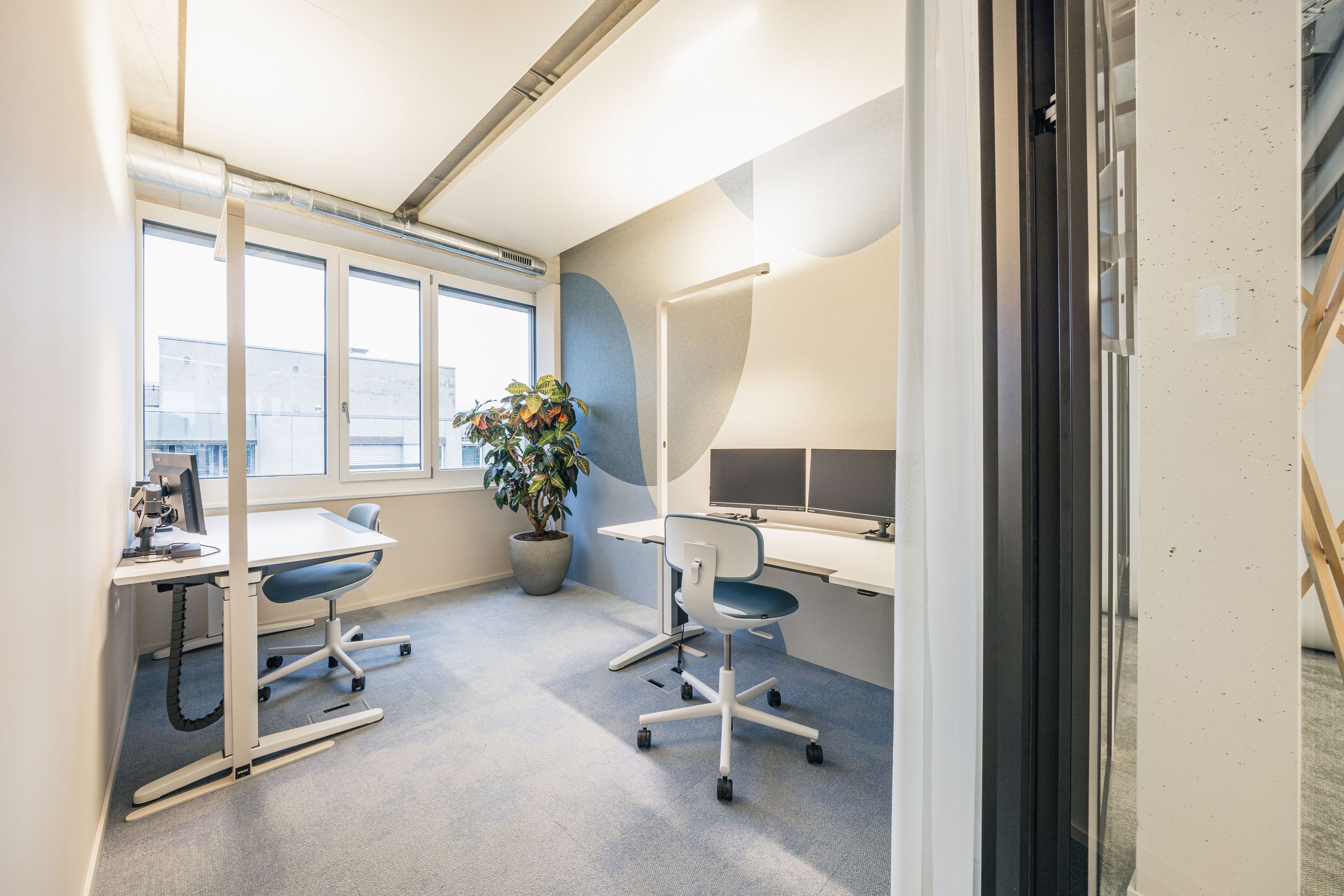 Lichtdurchflutetes Zweierbüro mit zwei Arbeitsplätzen, blauen Bürostühlen und einer Zimmerpflanze.