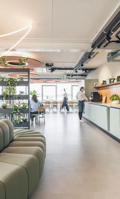 Heller Office-Community-Bereich mit Designsofa, Pflanzenregal und moderner Büroküche.