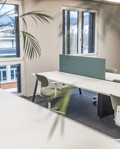 Großzügiges Büro mit Schreibtischen, Lockerschränken und Pflanzen.