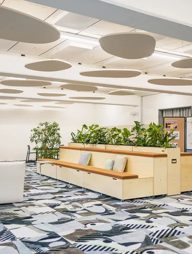 Offener Meetingbereich mit Pflanzen, Holzpodesten und großem Bildschirm.