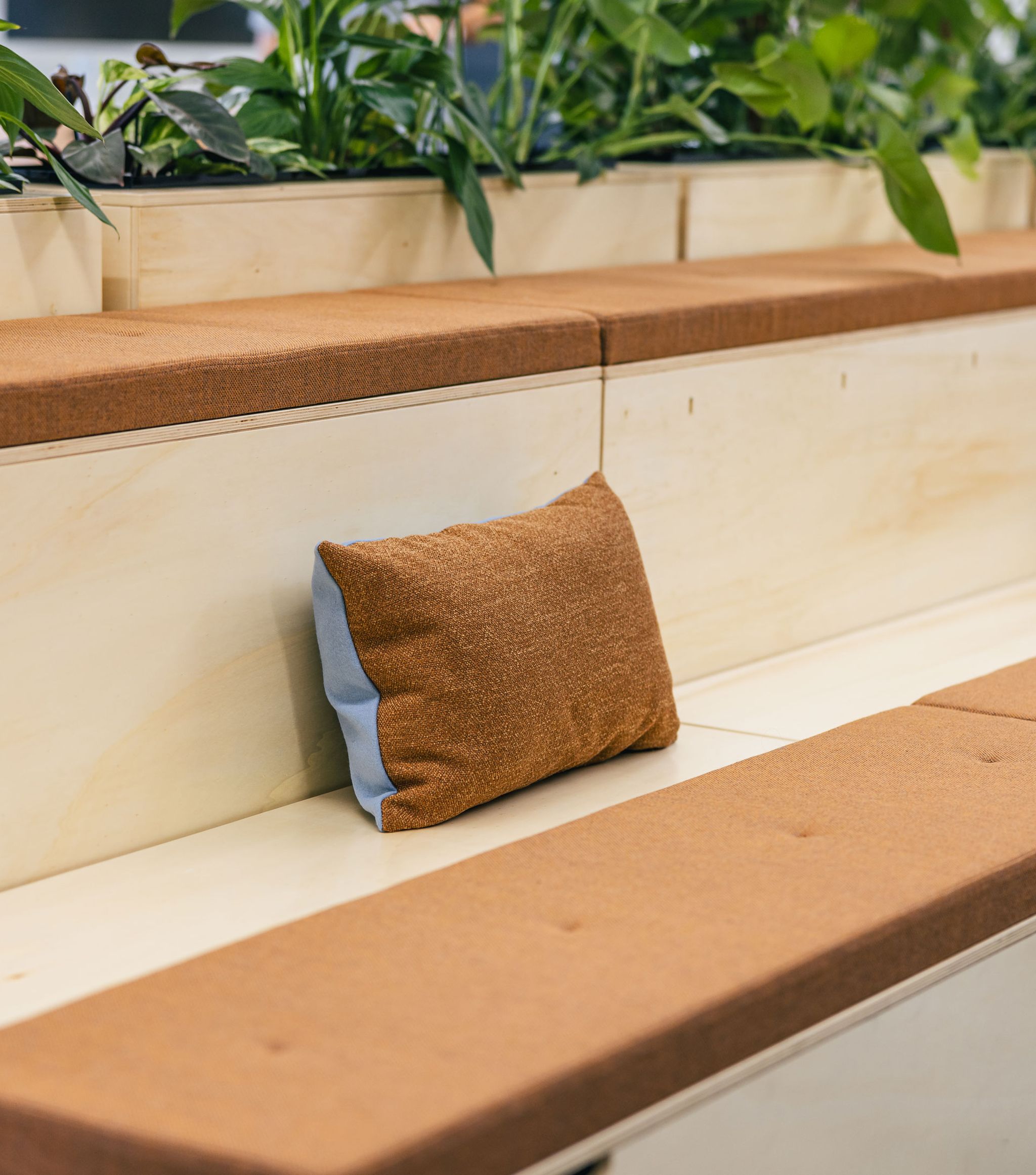 Holzsitzbank mit Zierkissen