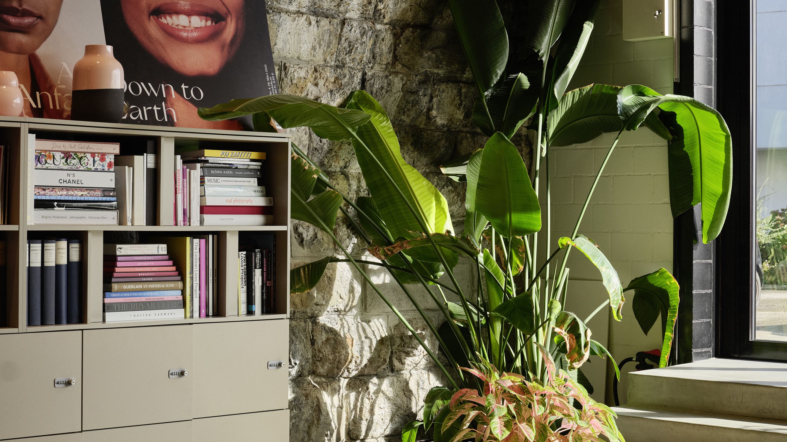 Regal vor Steinwand mit Blick zur Fensterfront mit Magazincover und Pflanzen dekoriert.