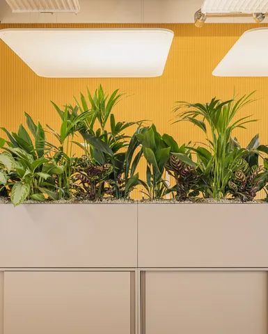 Pflanzenaufsatz mit Schiebetürenschrank.