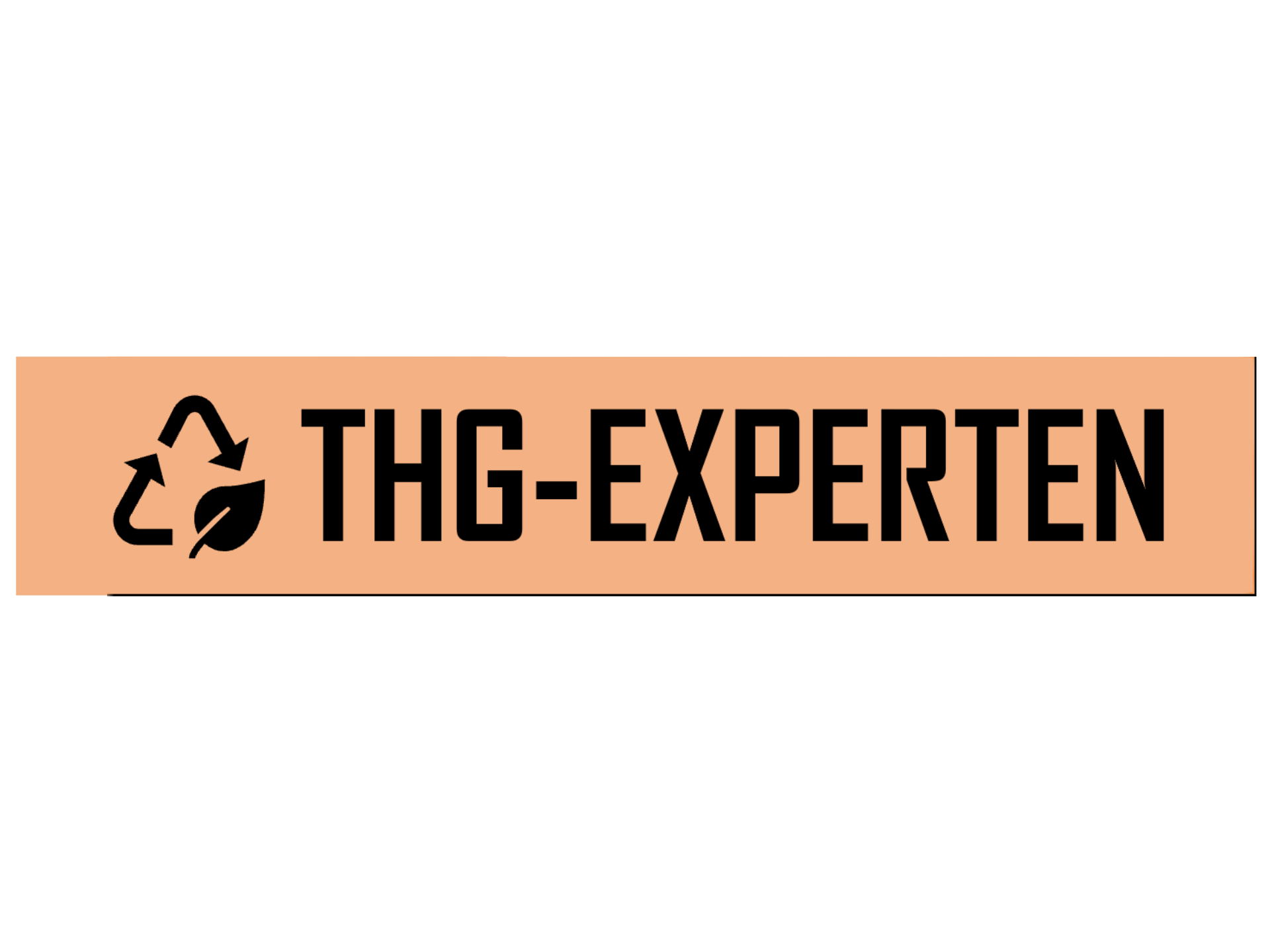 Logo des Anbieters THG-Experten