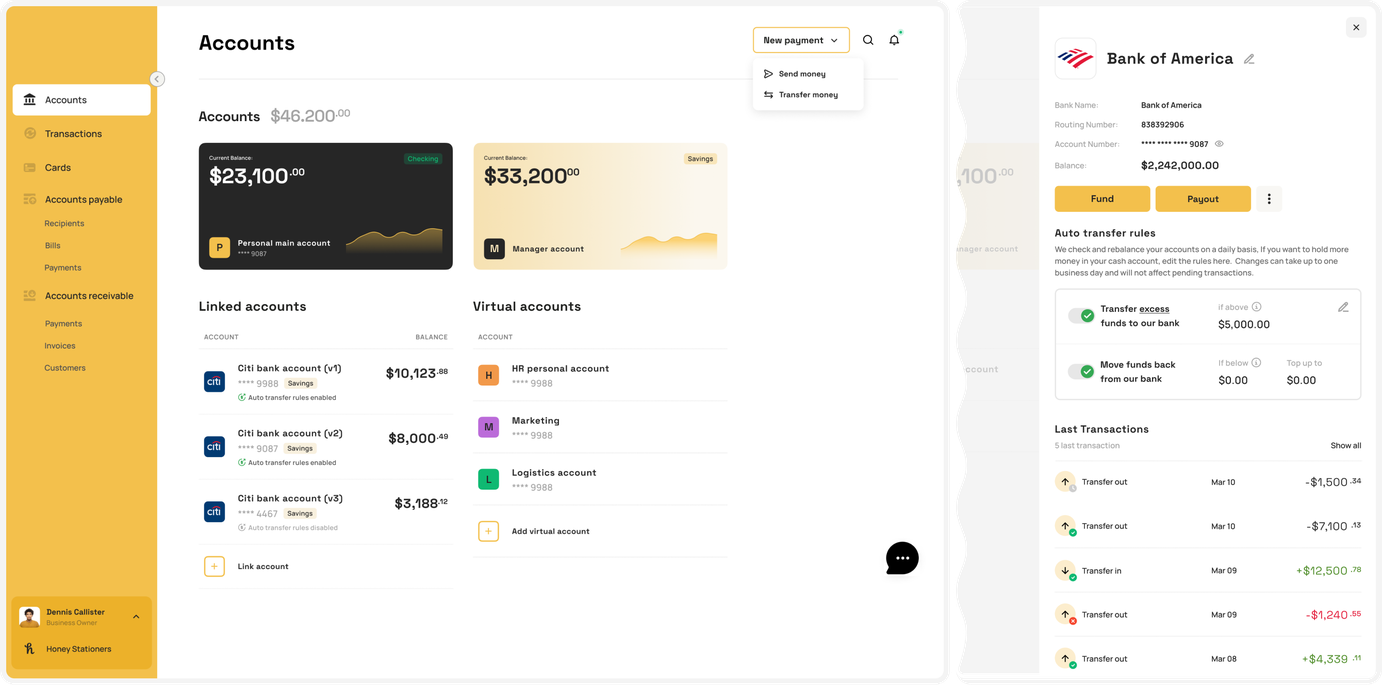 Banking and payment platform accounts