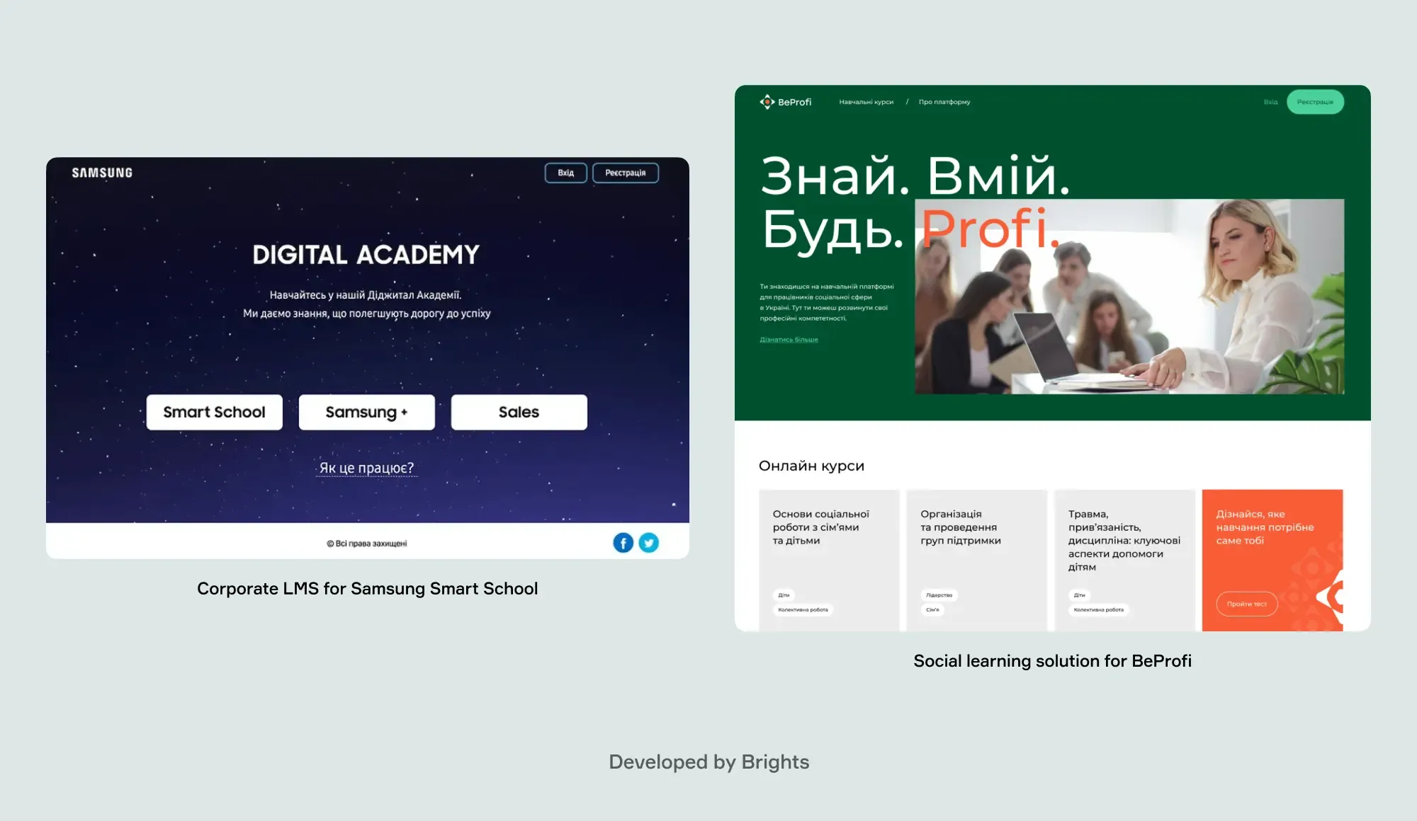 Learning management systems developed by Brights