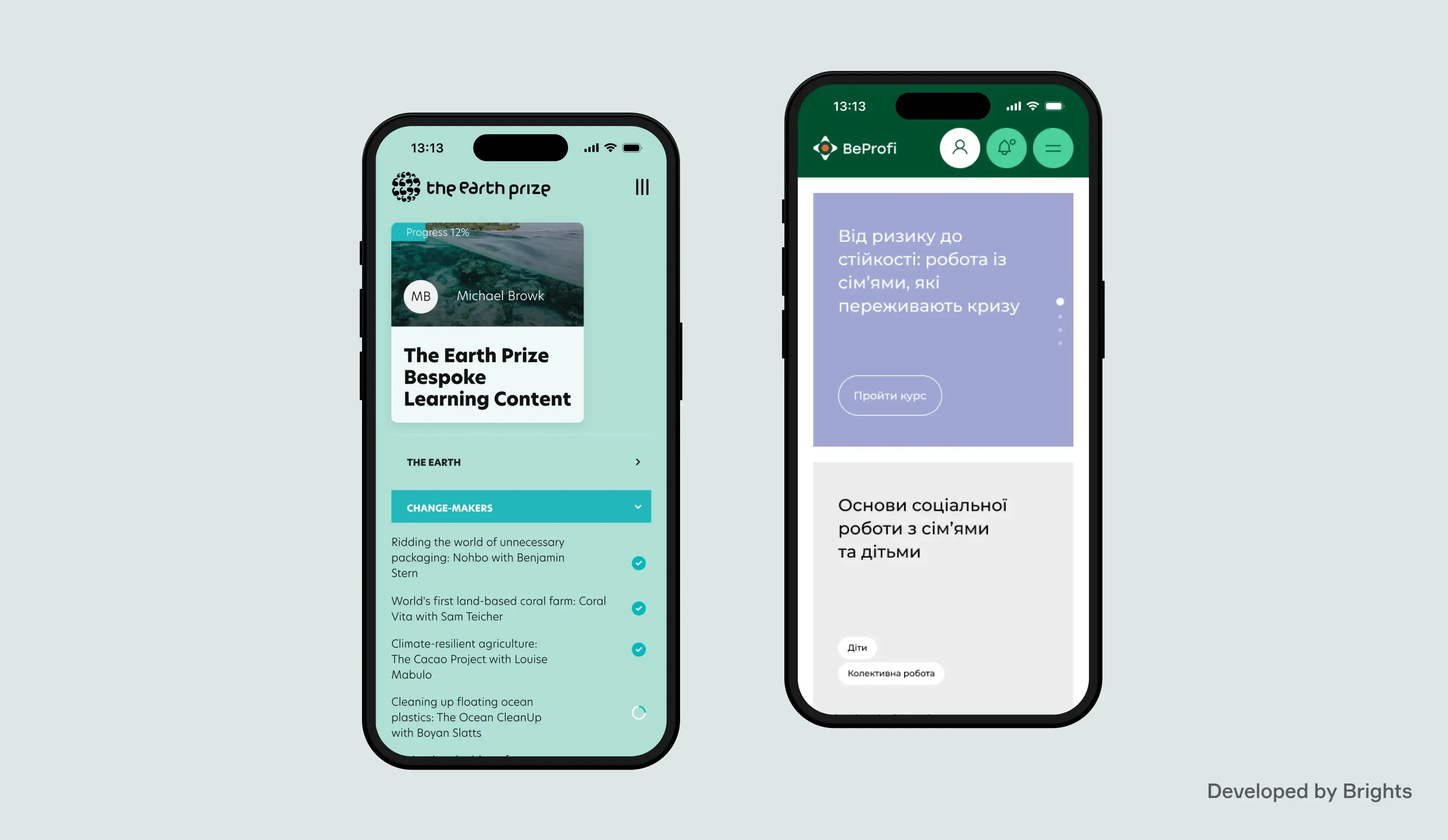 Learning management systems developed by Brights