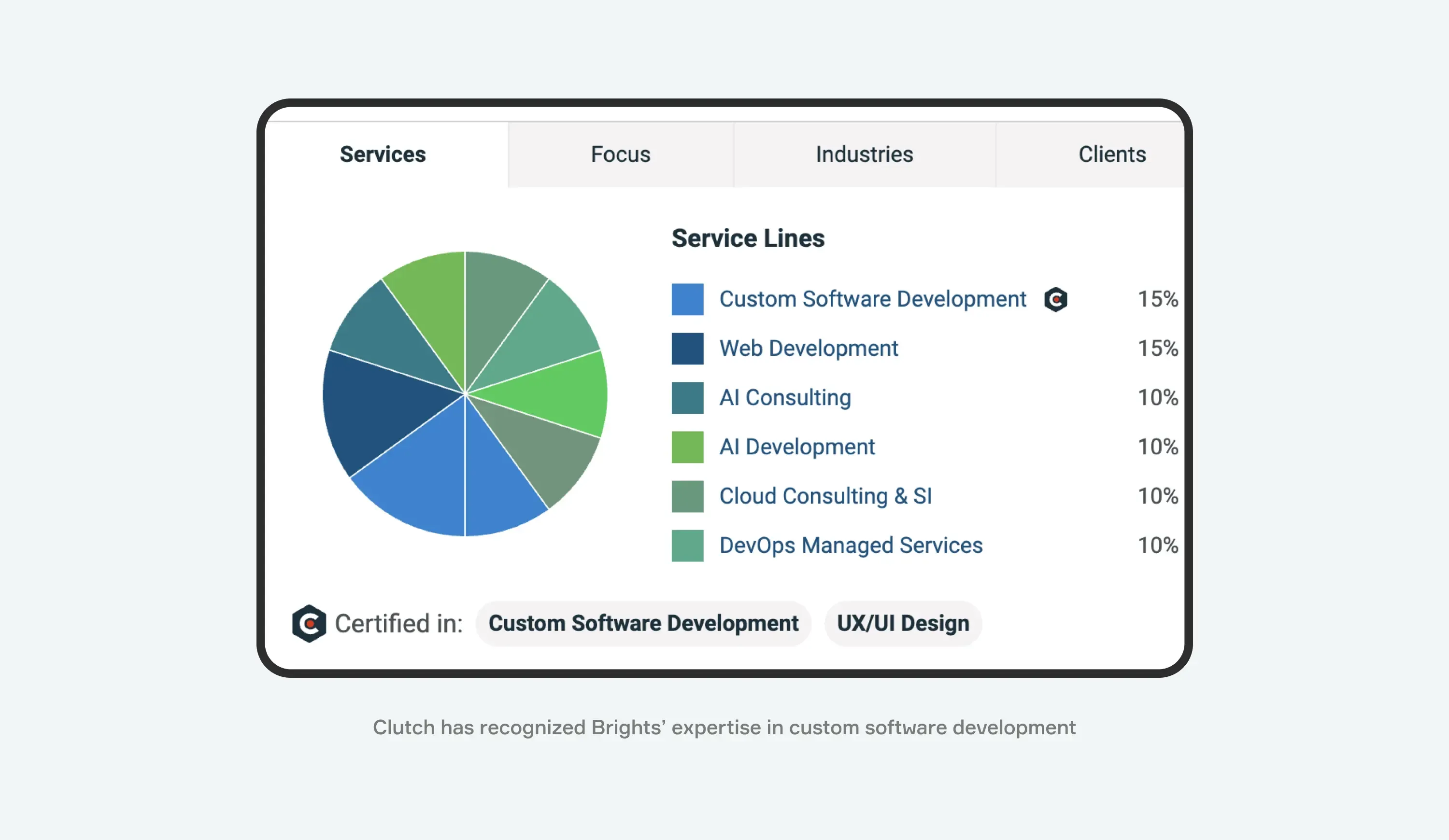 Custom Software Development Clutch
