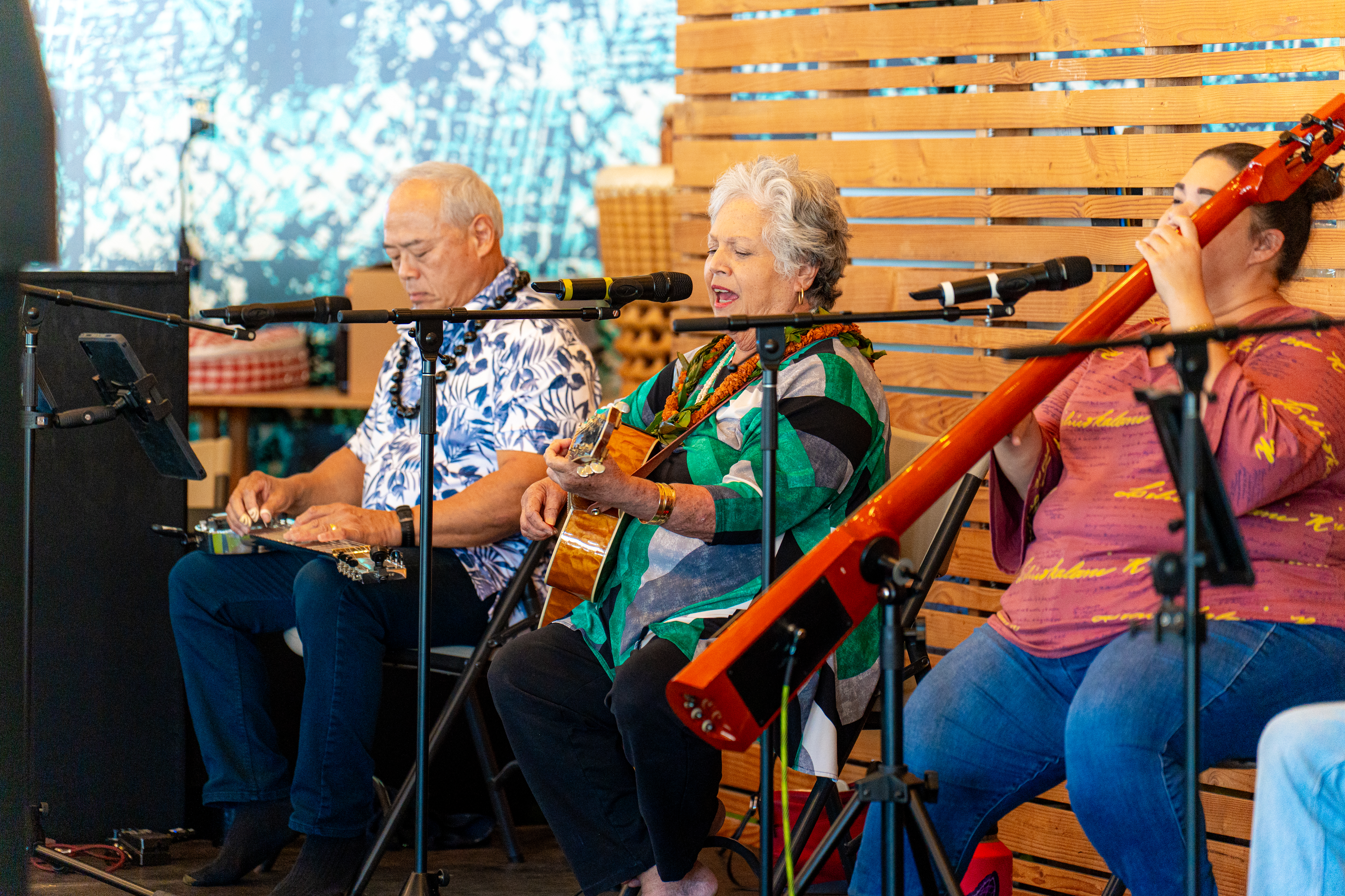 Hawaiian Music Perpetuation Society