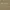 A gold banner with white writing saying that we are 2026 Shortlisted for the PMAs