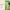 A photo of horse racing