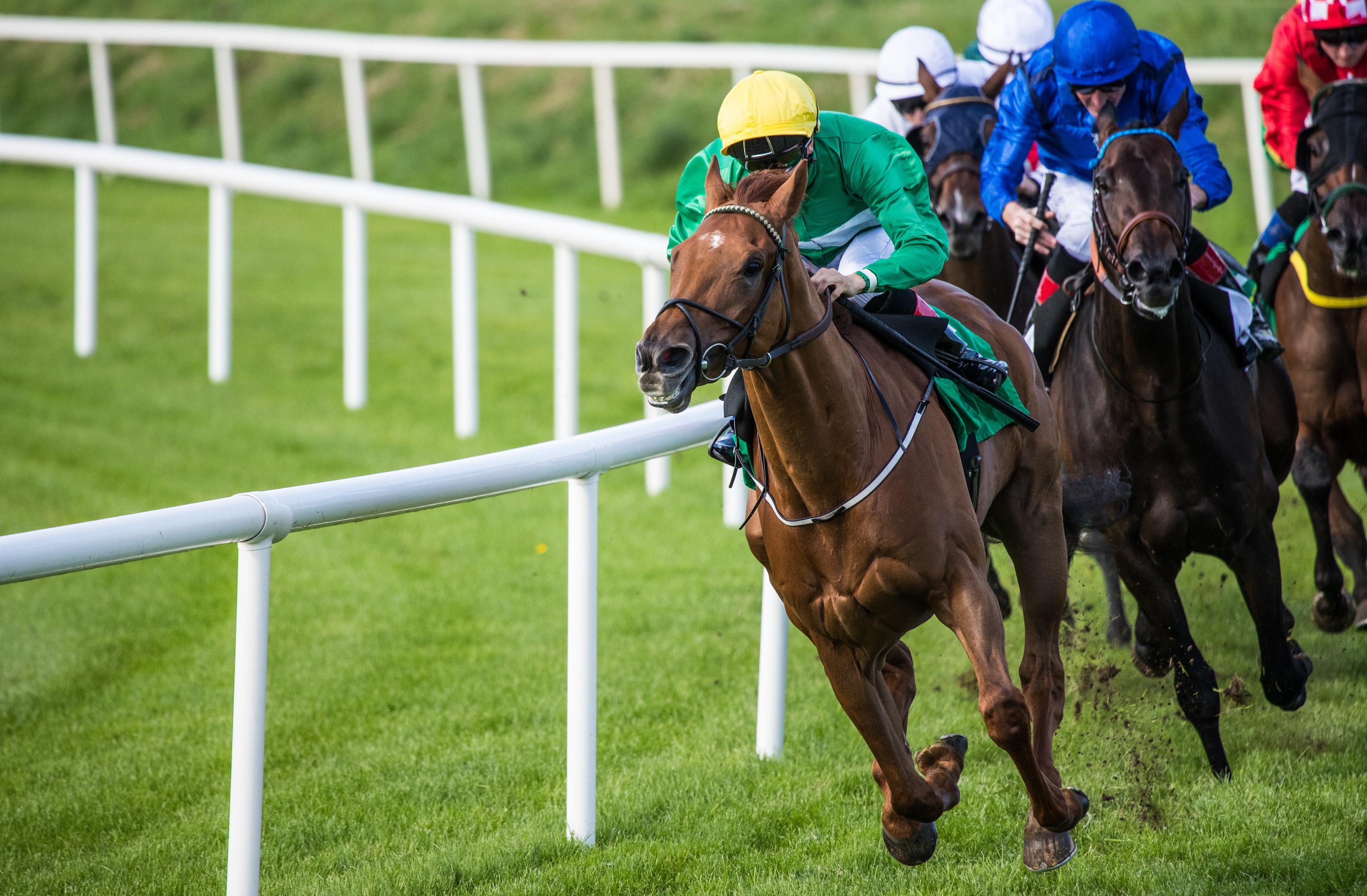 Horse racing