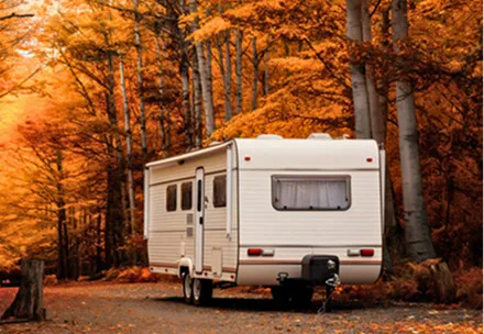 Fall Special 30% off