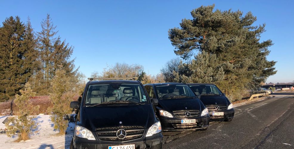 Leje af minibus til 9 pers.