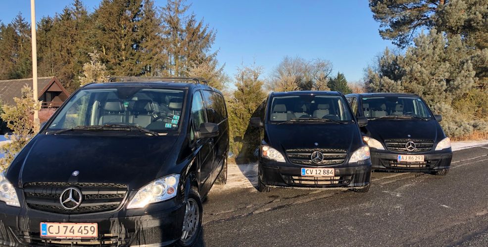 Leje af minibus til 9 pers.