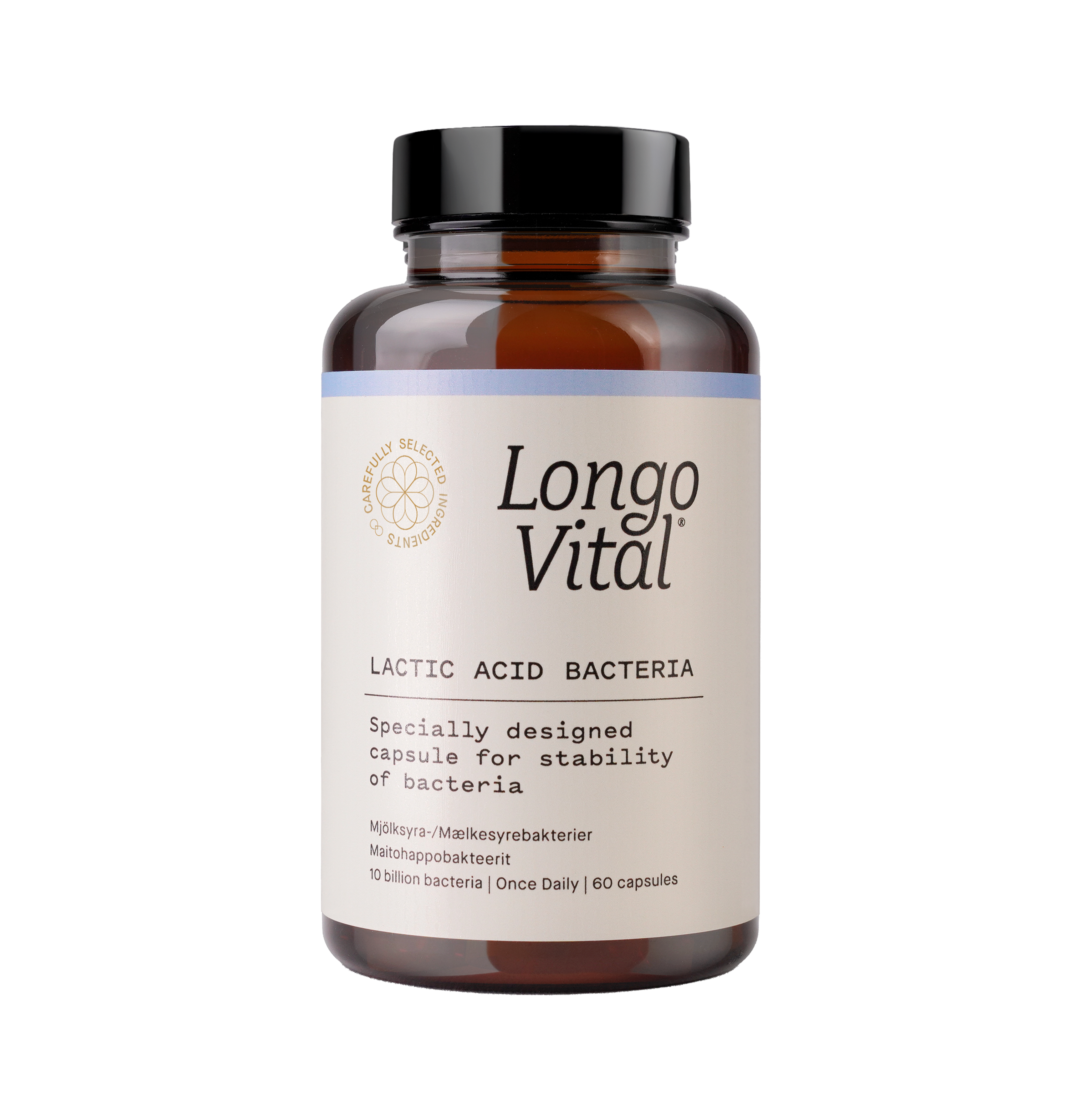 Lactic Acid Bacteria