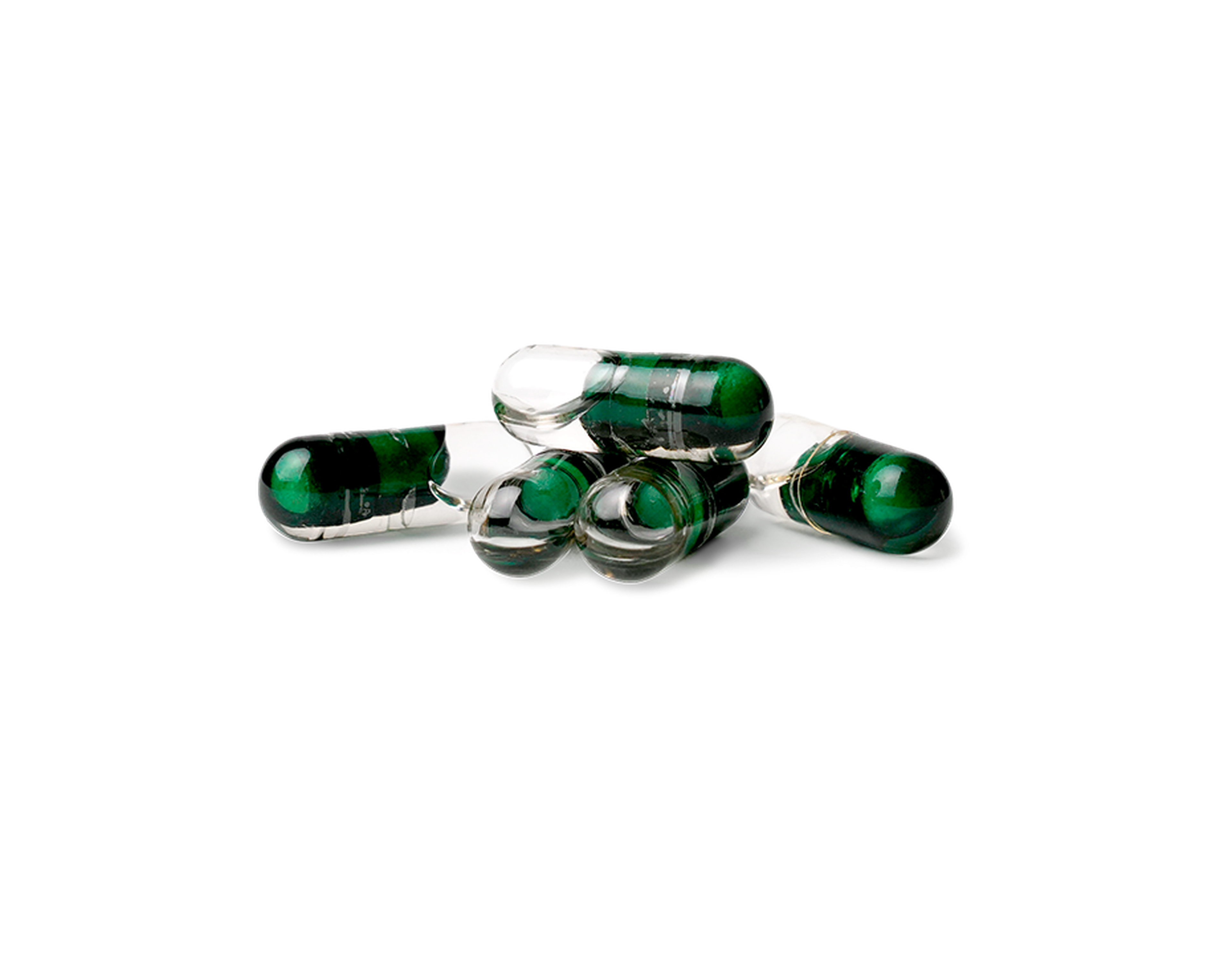 Lactic Acid Bacteria